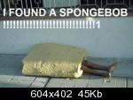 http://funkyimg.com/t2/434/626/IFOUNDASPONGEBOB.jpg